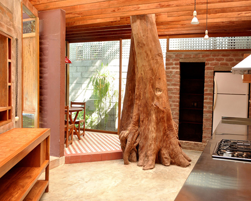 ghezzi novak incorporates tree into kitchen bungalow in peru