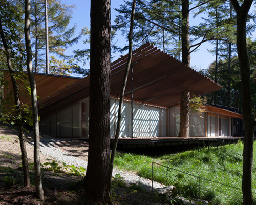 secluded cabin in japanese forest by kengo kuma