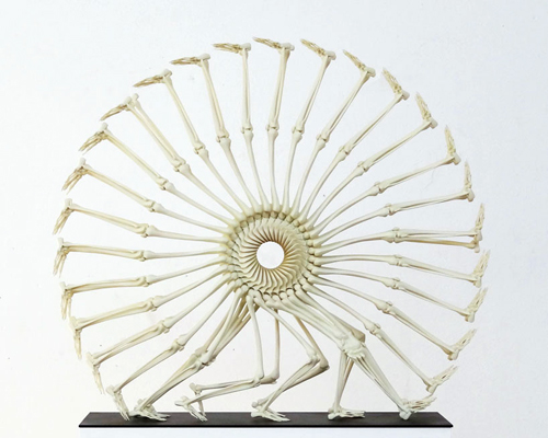 monika horcicova 3D prints the wheel of life skeletal sculpture