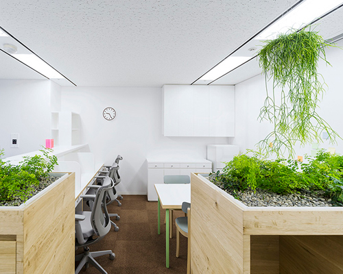 naoya matsumoto inserts soothing plants into koshida clinic in osaka