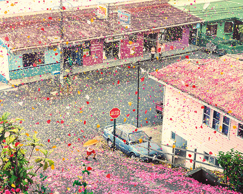 nick meek photographs costa rica covered in flower petals for sony