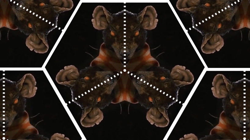 wes anderson movies are spun inside a kaleidoscope 