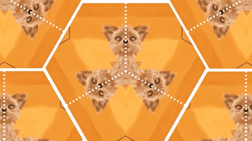 wes anderson movies are spun inside a kaleidoscope 