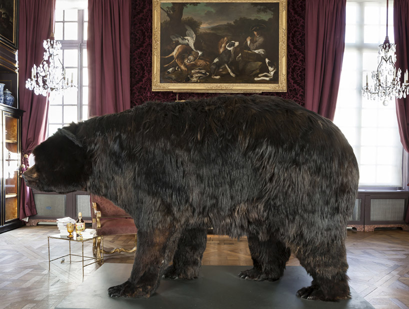 abraham poincheval lives inside a bear carcass for two weeks