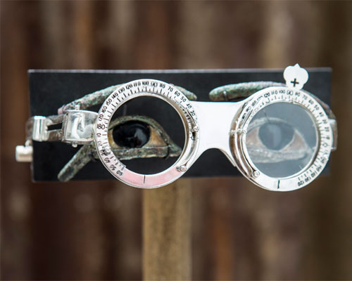 hiroshi sugimoto designs limited edition duchampian eyewear for selima optique + liz swig