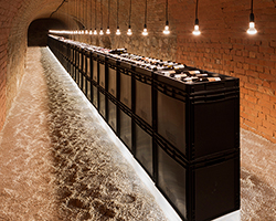 march gut update the stroblkeller winery in austria