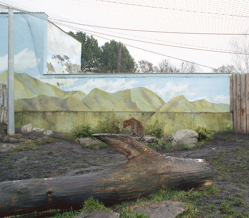 jakub skokan documents artificially constructed zoo landscapes