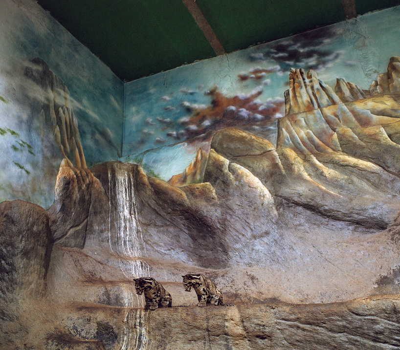 jakub skokan documents artificially constructed zoo landscapes