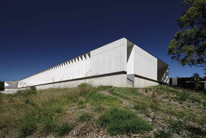 bvn donovan hill plantbank building designboom