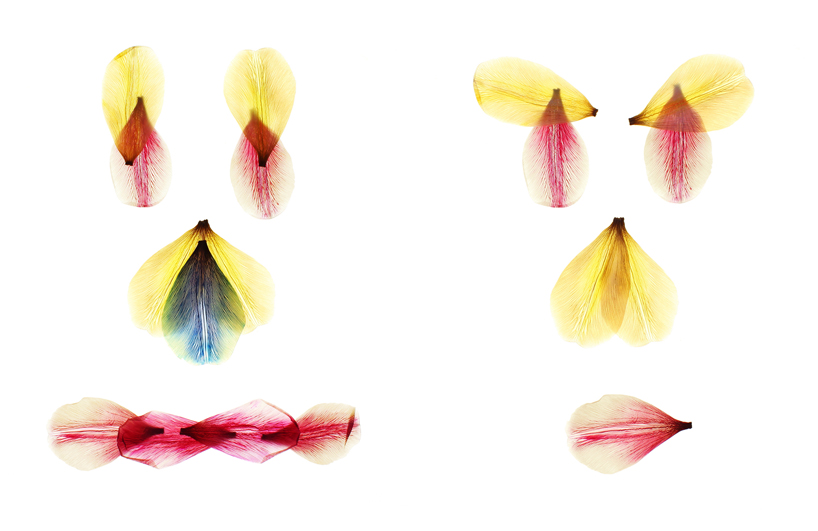 hilde-koenders-faces-designboom02