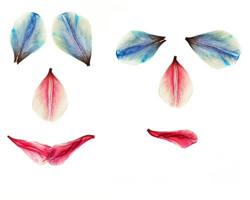 hilde koenders composes silk faces series using dried tulip petals