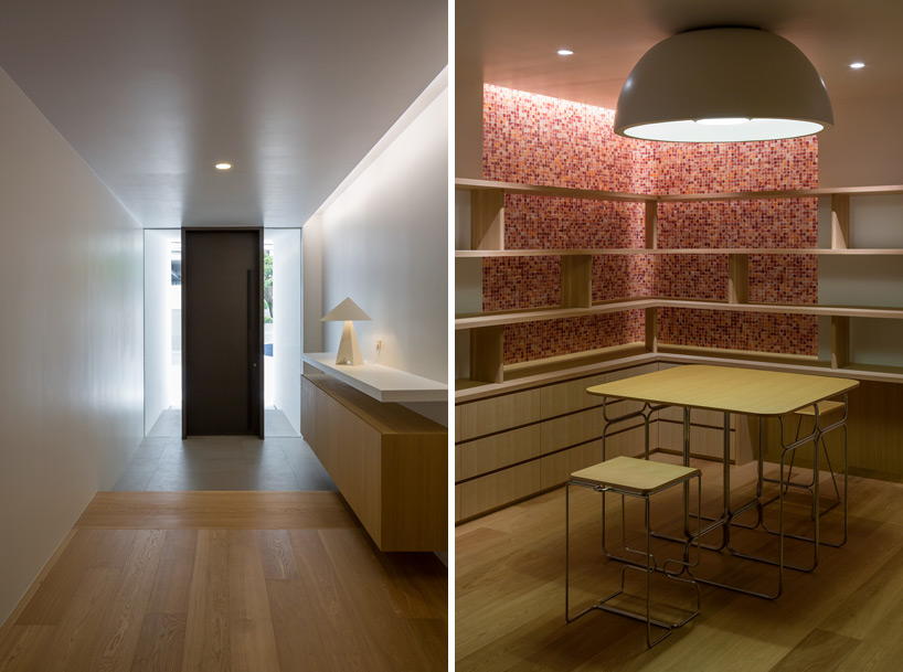 house for podocarpus designboom