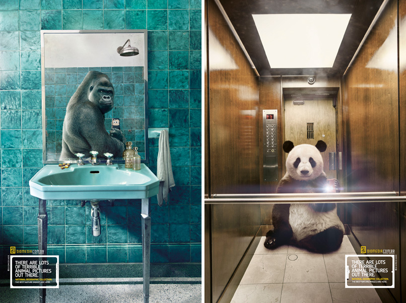 wildlife selfies campaign by silvio medeiros for national geographic