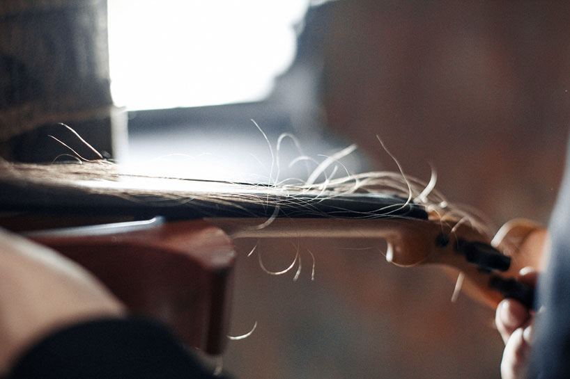 tadas maksimovas spins his hair into the playable strings of a violin