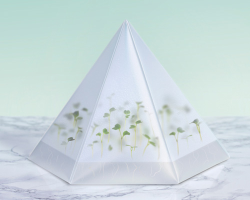 microgarden: a mini flat-pack greenhouse for farming plants indoors