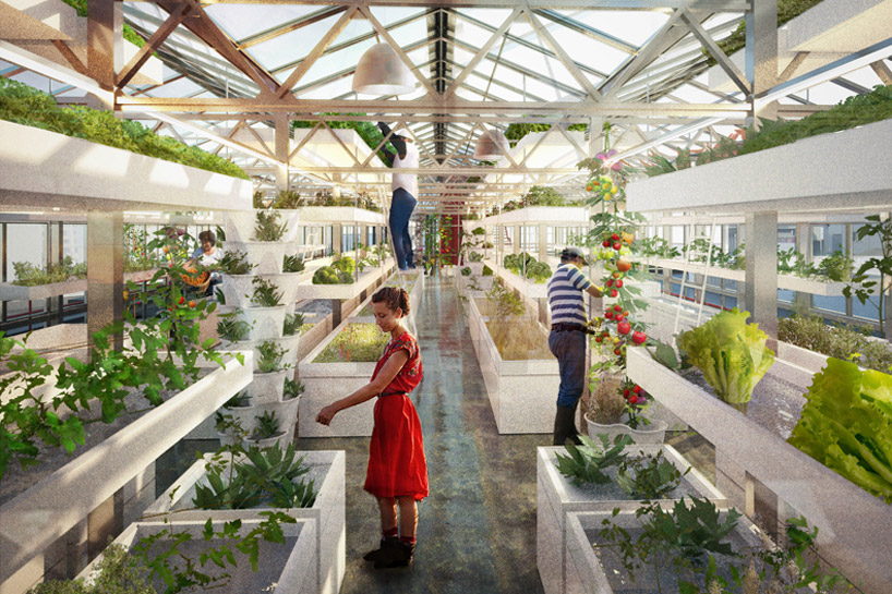 antonio scarponi combines urban farming with industrial
