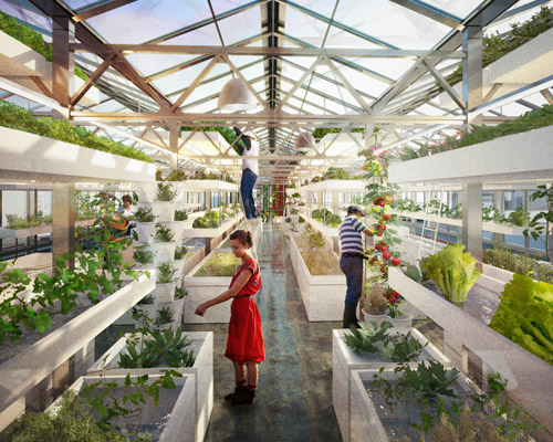 antonio scarponi combines urban farming with industrial rooftops
