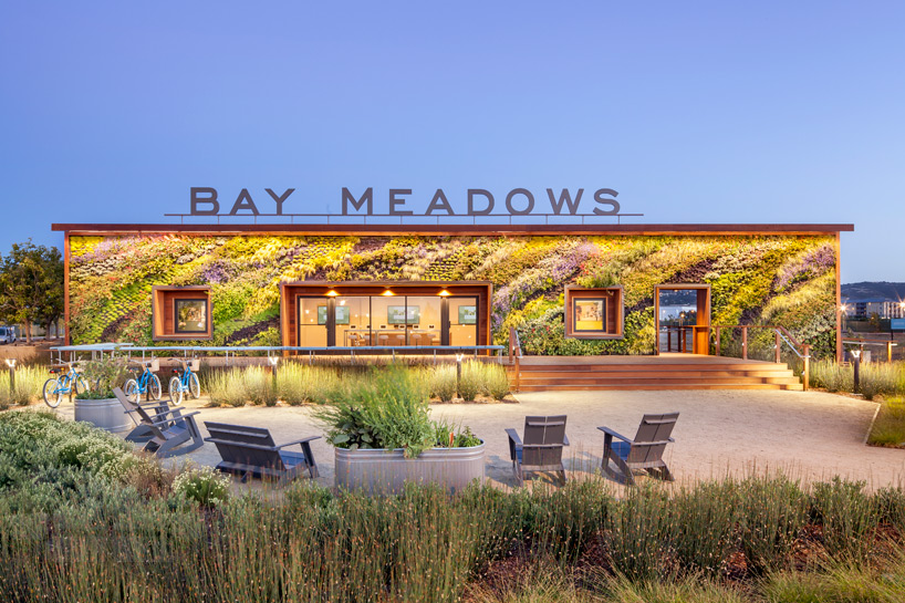 BCV architects elongates green wall on bay meadows welcome center