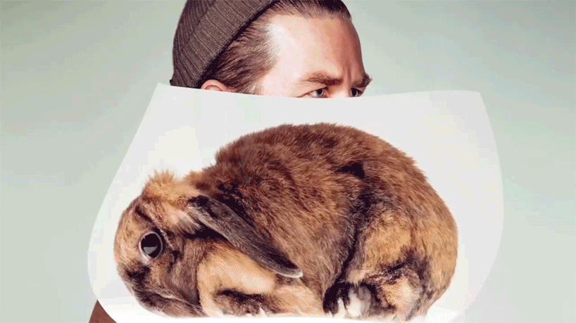 schick free your skin animal beards