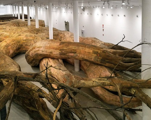 henrique oliveira roots his largest installation to date at the MAC, sao paulo