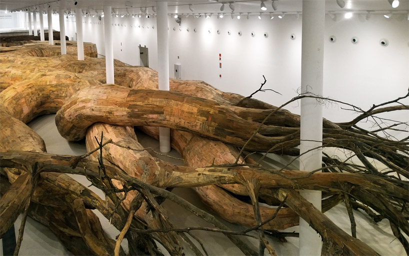 henrique oliveira roots his largest installation to date at the MAC, sao paulo