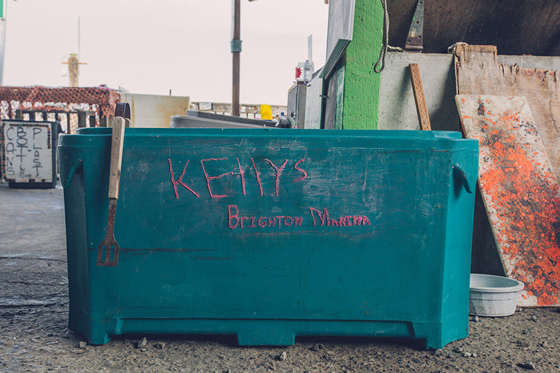 instrument labs captures oregon coast interactive journal