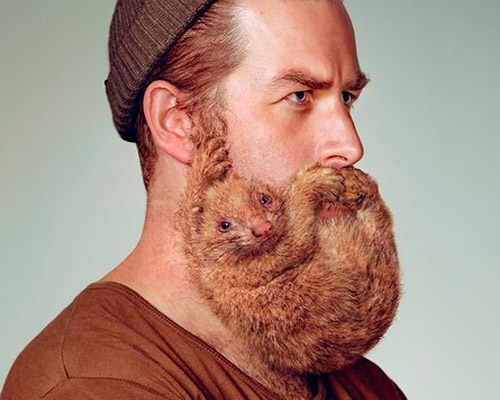 Y&R grow animal beards for schick's free your skin campaign