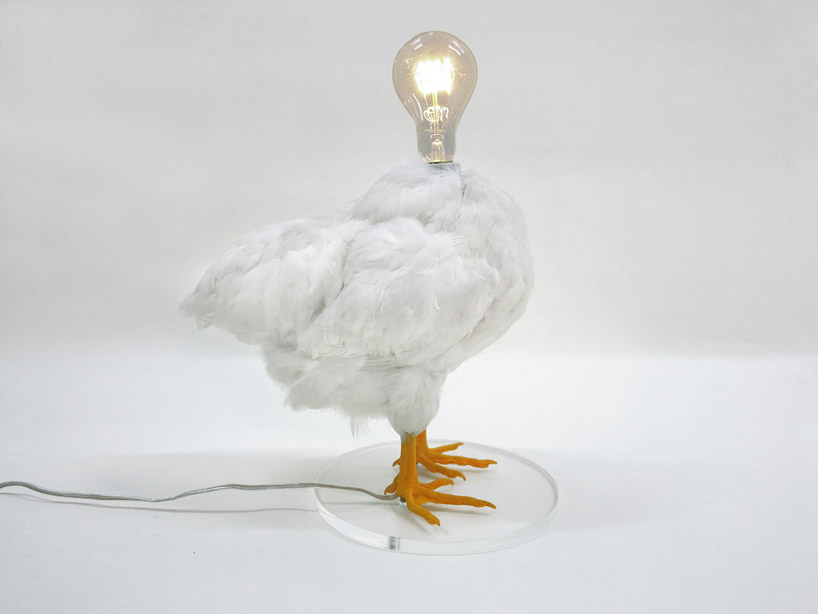 sebastian errazuriz turns taxidermy bird into chicken lamp