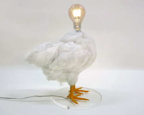sebastian errazuriz turns taxidermy bird into chicken lamp