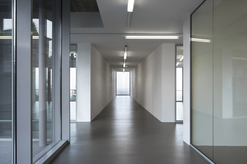 studio milani school whale primary landscape