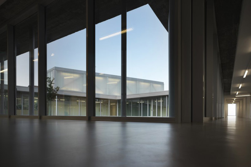 studio milani school whale primary landscape