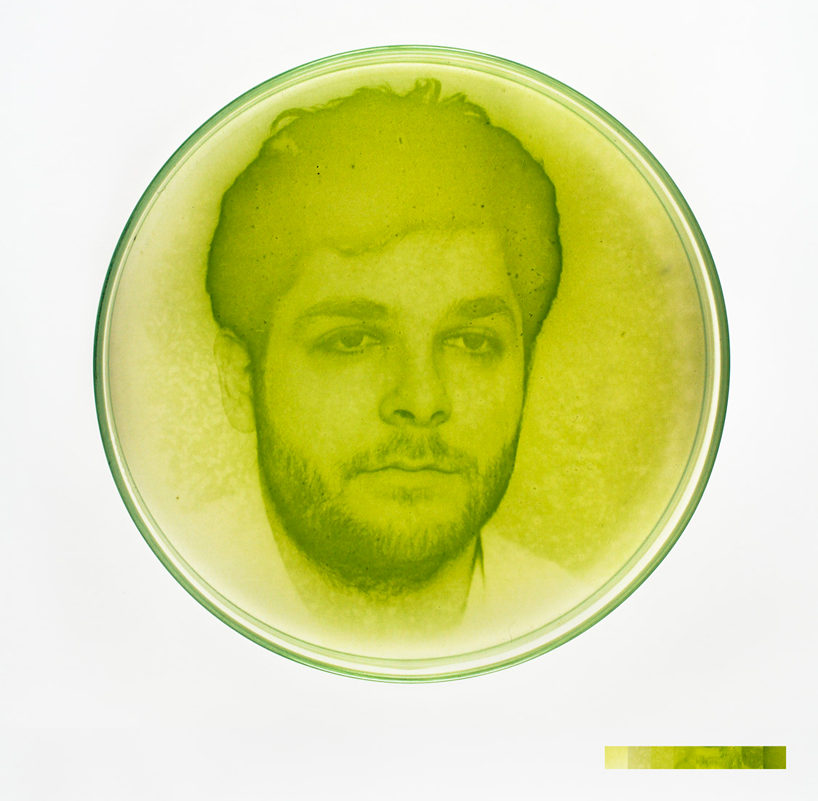 lia giraud creates living photographs with microscopic algae