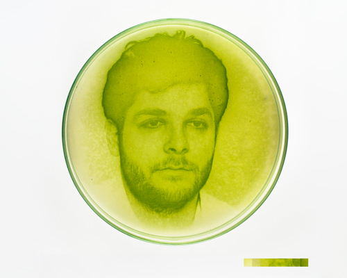 lia giraud creates living photographs with microscopic algae