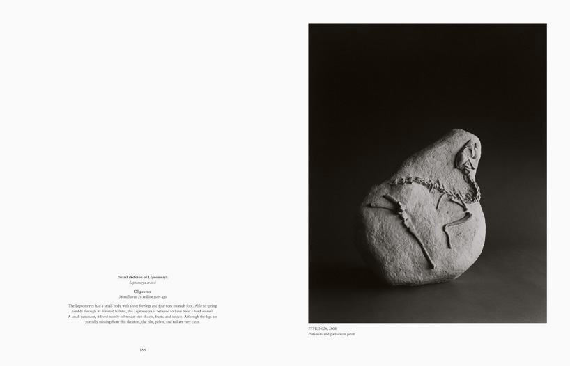 cahiers d'art gallery hiroshi sugimoto 