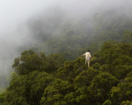 christoph both-asmus balances between earth + sky for the tree walker