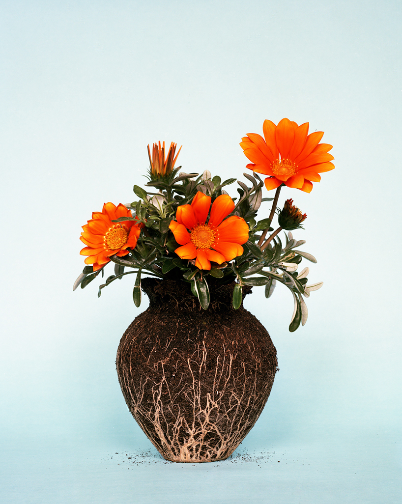 diana scherer reveals soil, seeds and roots for nurture studies