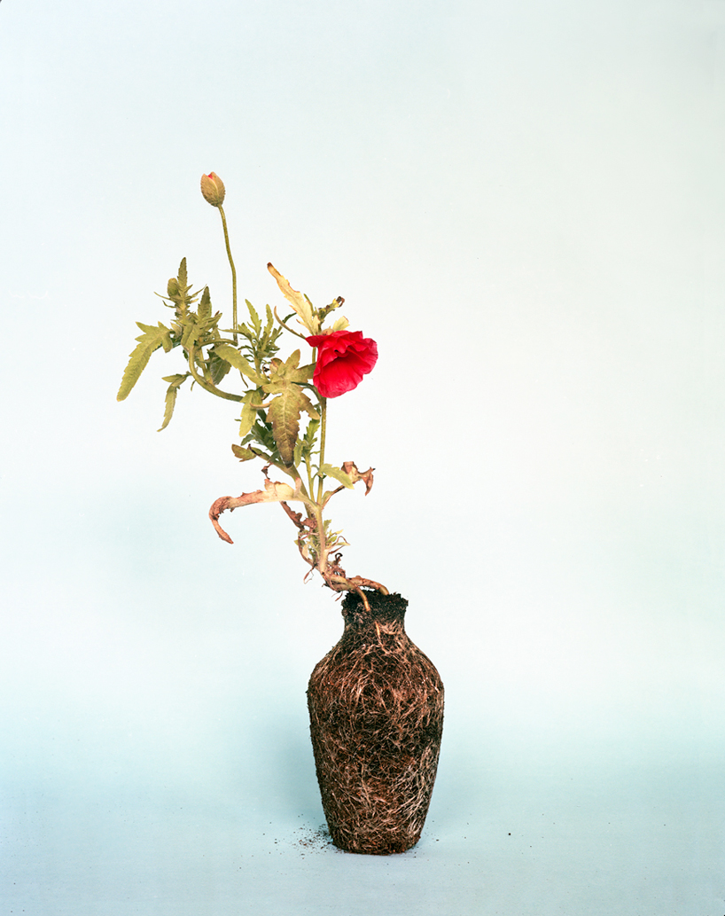 diana scherer reveals soil, seeds and roots for nurture studies