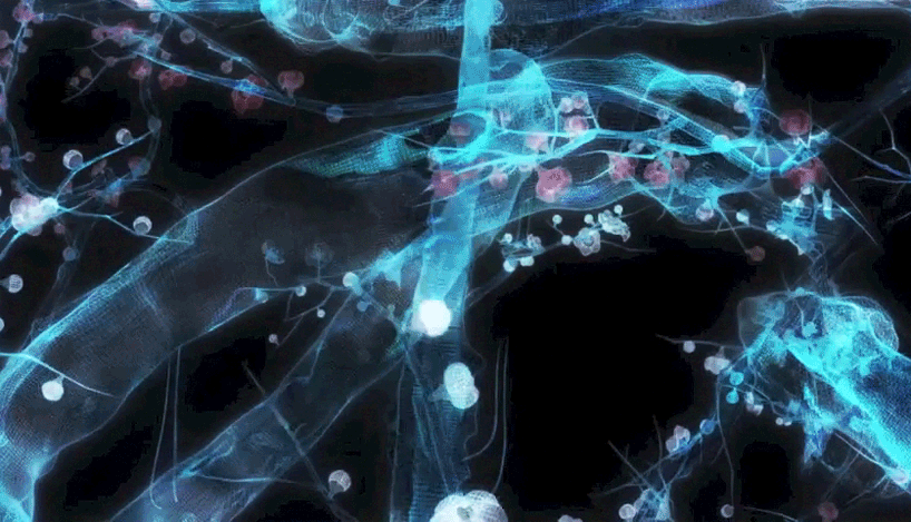 gif-designboom-02-818