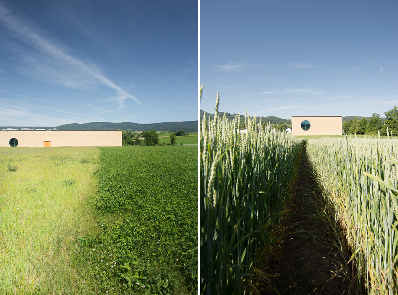 herzog & de meuron ricola herb center laufen designboom