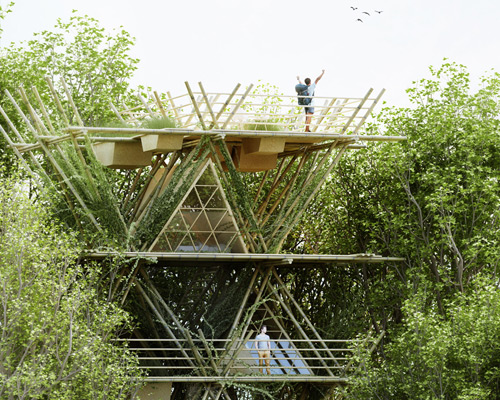 penda places visitors among birds with modular bamboo dwellings