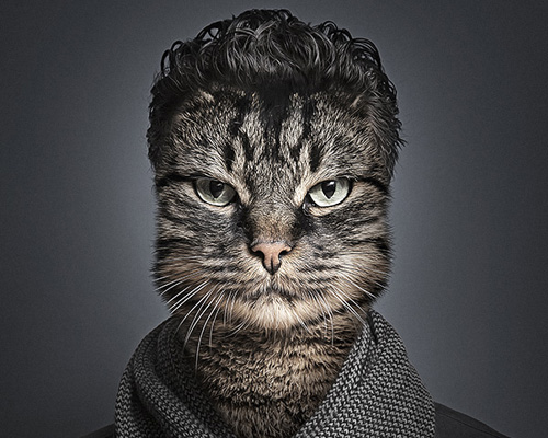 sebastian magnani swaps felines with their owners for undercats