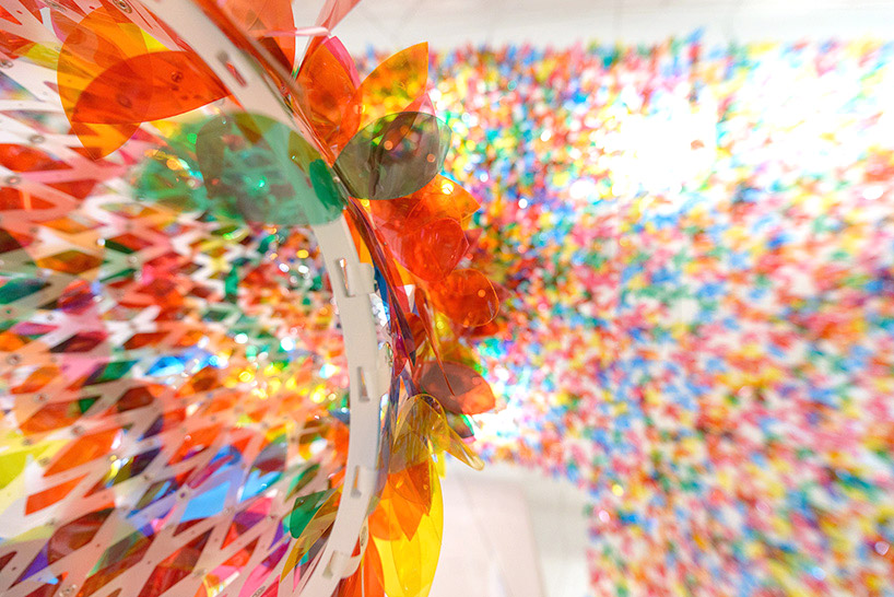 softlab melissa shoe gallery flower canopy