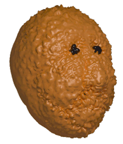 tumblr_n3lr5gxUov1syjt2wo1_250