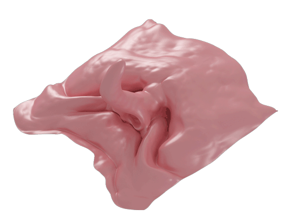 tumblr_n7mg5dmt1k1syjt2wo1_1280