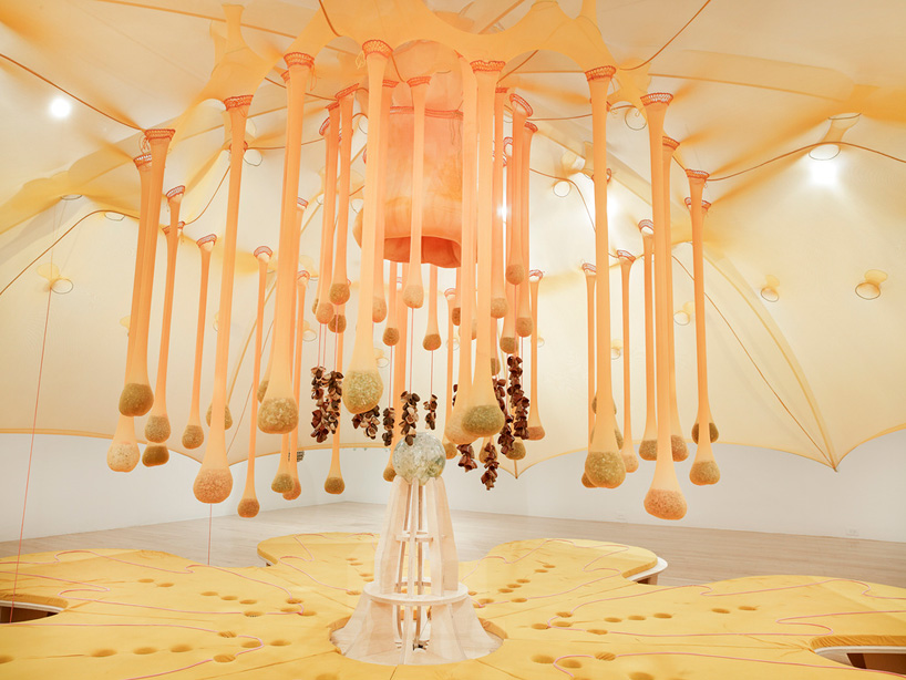 ernesto neto aspen art museum