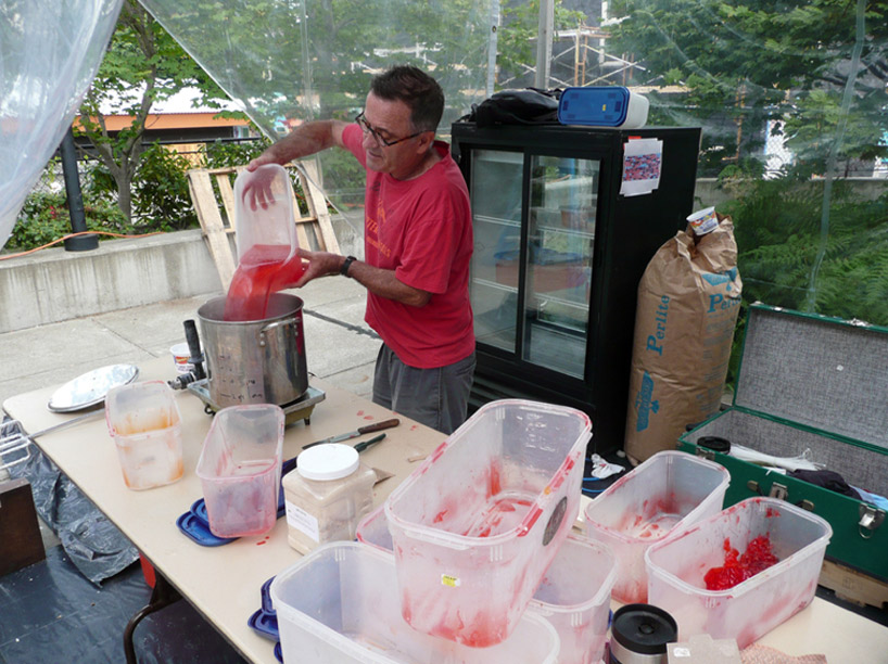 lisa hein robert seng jello brick wall designboom
