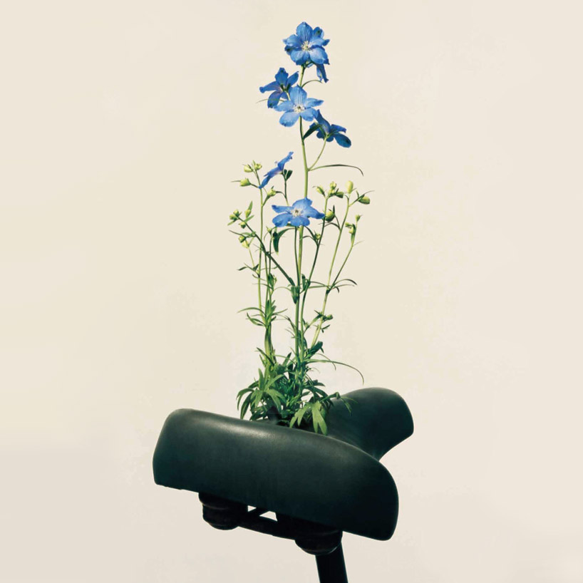 saddle blossoms designboom 