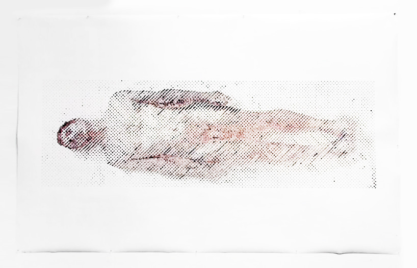 robotic blood printer draws ted lawson's nude self-portrait