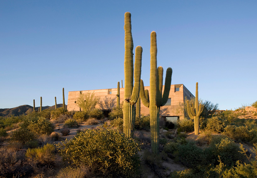 wendell burnette architects desert courtyard house designboom