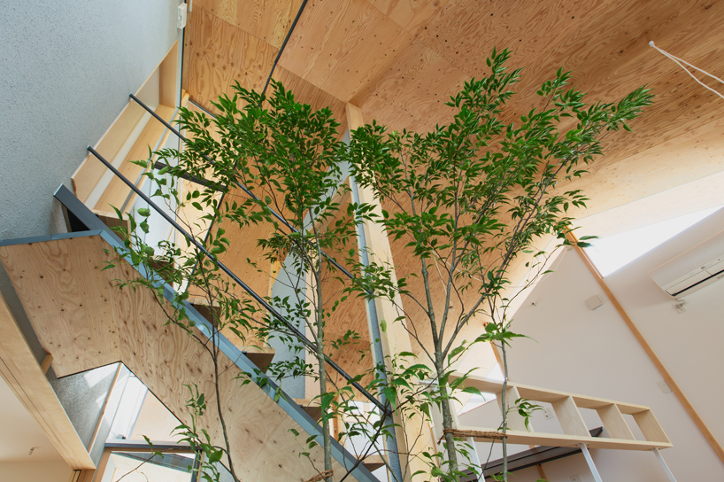 y+m design office eaves around house kyoto japan designboom